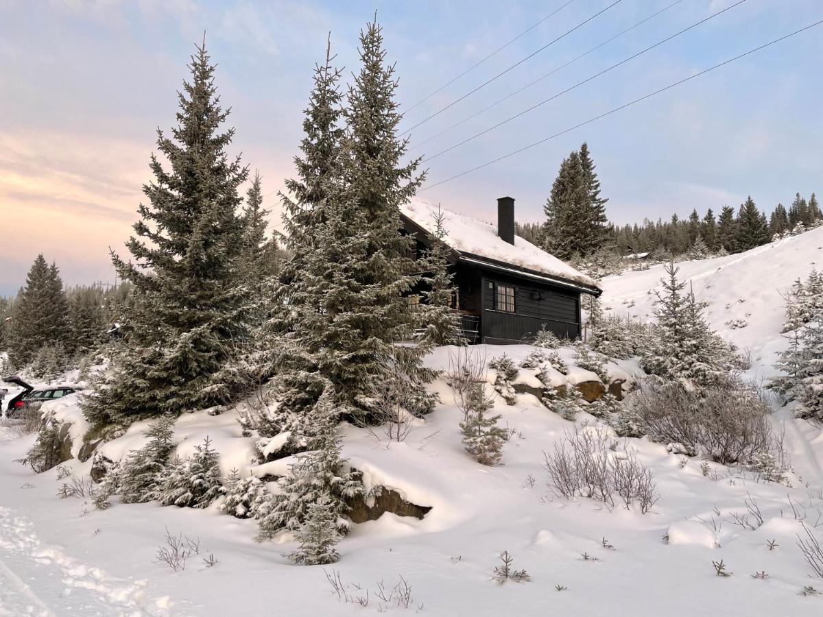 Ski And Bike-In And Out Hafjell Exterior photo